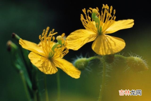 不同于以往年过二十就可以结婚 遇不到真爱的人，往往有三个原因