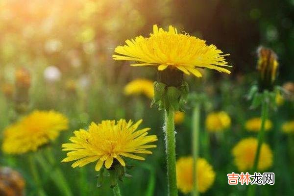 不同于以往年过二十就可以结婚 遇不到真爱的人，往往有三个原因