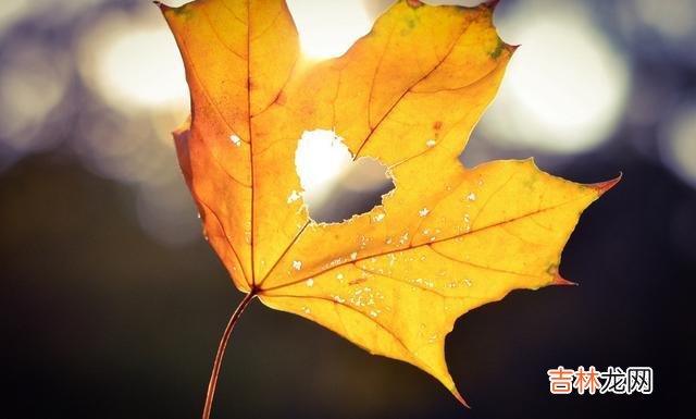 出生在什么样的家庭 人与人之间交往,一定要注意保持界限,走得越近,越是容易出问题