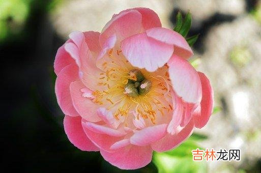 有些女人过得不好 如果一方越来越好，另一方始终原地踏步，缘分也就尽了
