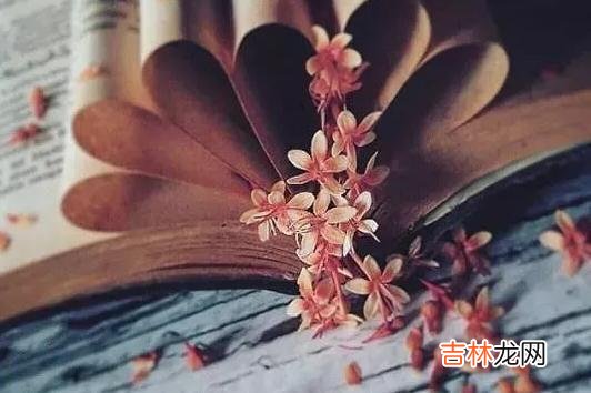 那些婆家不敢惹的女人 婆家不敢惹的女人，往往有两个原因，婆家不敢欺负你