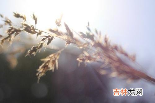 那些婆家不敢惹的女人 婆家不敢惹的女人，往往有两个原因，婆家不敢欺负你