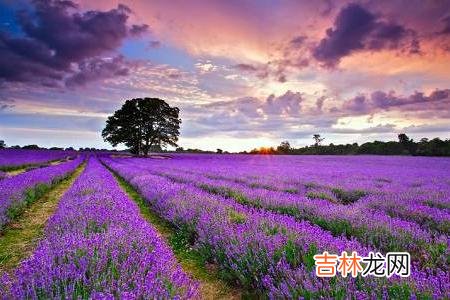 很多人觉得 一个男人有这三种冲动,可见真心爱自己,别辜负