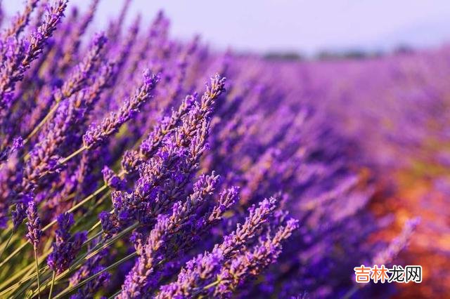 很多人觉得 一个男人有这三种冲动,可见真心爱自己,别辜负