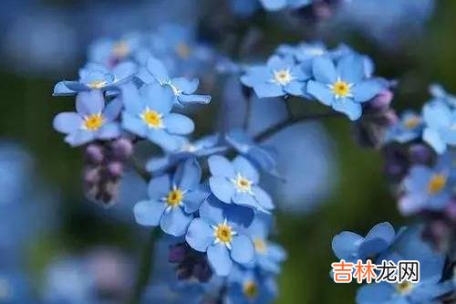 女人们在爱情里 征服男人最好的方式，不是讨好，而是满足