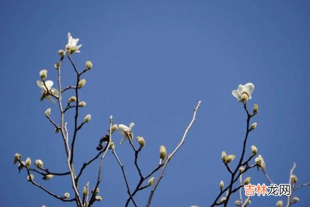 女人们在爱情里 征服男人最好的方式，不是讨好，而是满足