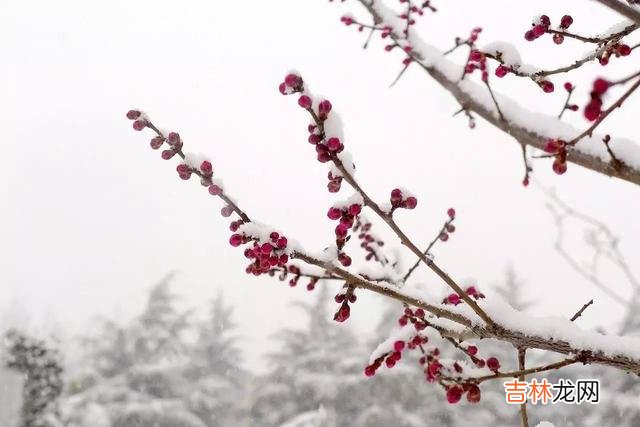 女人表达感情的方式 女人对你动了情，会给你这三个明显的暗示，你应该了解