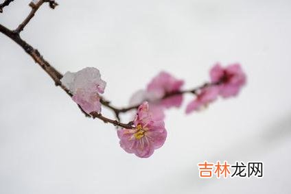 女人表达感情的方式 女人对你动了情，会给你这三个明显的暗示，你应该了解