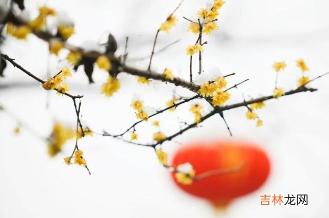女人表达感情的方式 女人对你动了情，会给你这三个明显的暗示，你应该了解