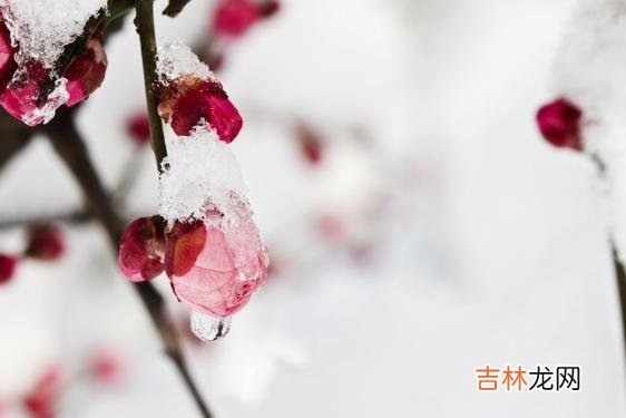 女人表达感情的方式 女人对你动了情，会给你这三个明显的暗示，你应该了解