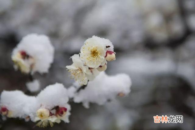 女人处在不同的年龄段 一个女人到了中年，依然有这三个问题，至少说明异性喜欢你