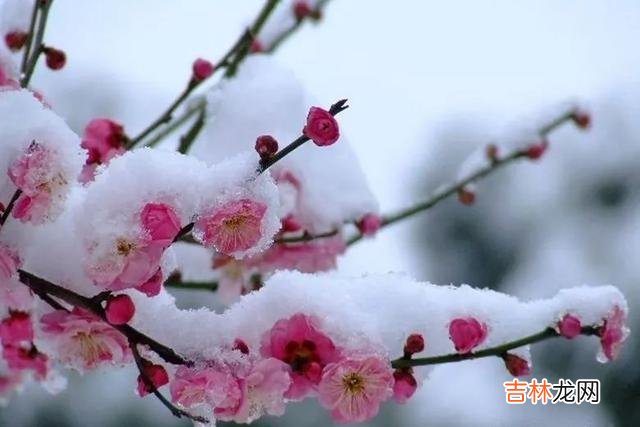 女人处在不同的年龄段 一个女人到了中年，依然有这三个问题，至少说明异性喜欢你