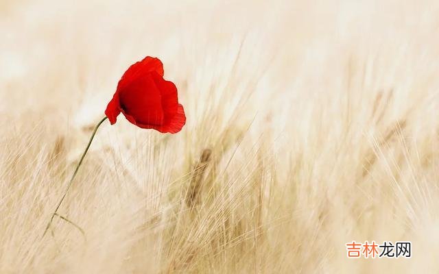 一个不得不承认的事实是：无论你是一个多么高情商的人 人际交往中，如果有人故意忽略你，你也要懂得分辨
