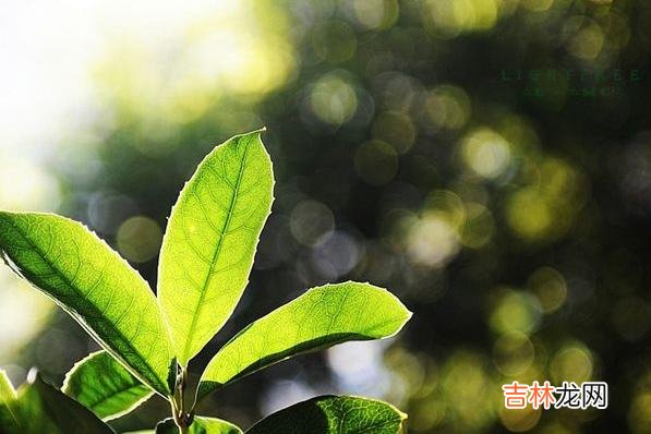 你介意亲戚住在你的家里吗？可能有些人会说 表妹在家住了一个星期，险些毁了自己10年的婚姻
