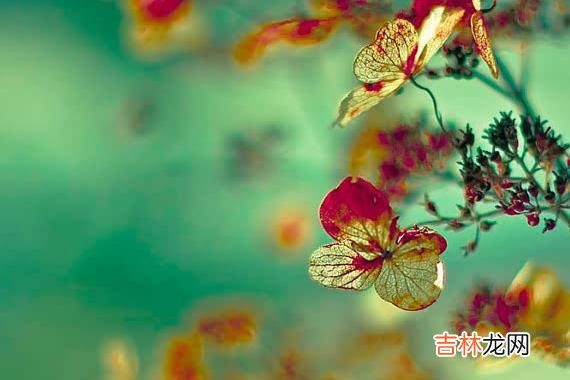 人生在世 人生在世，不要去阿谀奉承的场合，保持心宽和心静