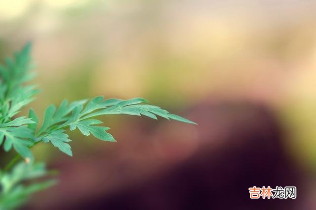 人生在世 人生在世，不要去阿谀奉承的场合，保持心宽和心静