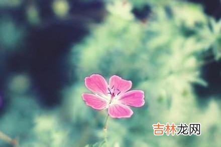 人生在世 人生在世，不要去阿谀奉承的场合，保持心宽和心静