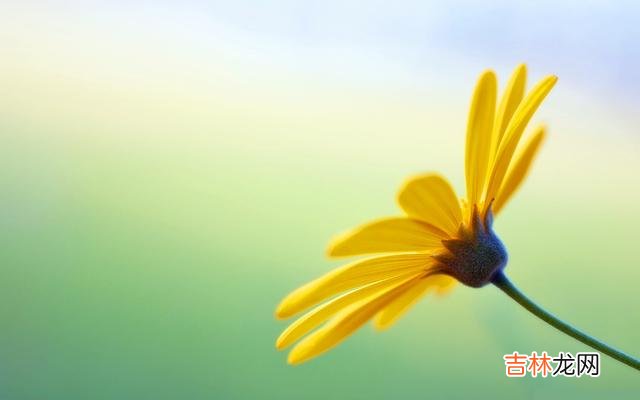 人生在世 人生在世，不要去阿谀奉承的场合，保持心宽和心静