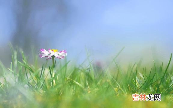 人生在世 人生在世,不要去阿谀奉承的场合,保持心宽和心静