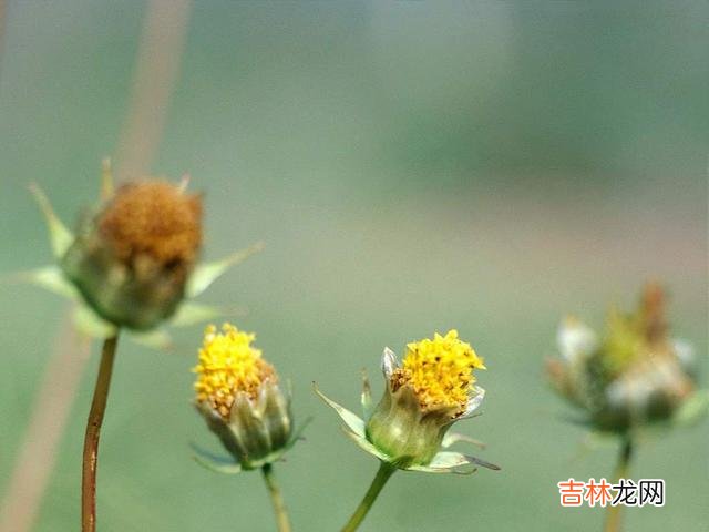 人生在世 人生在世，不要去阿谀奉承的场合，保持心宽和心静