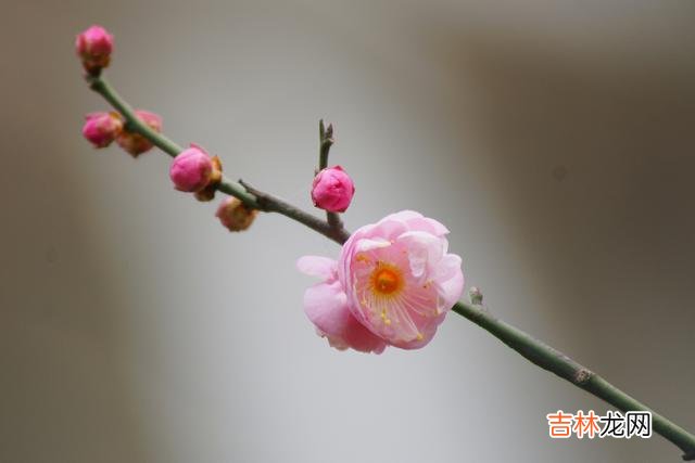 生理上的反应是不会骗人的，爱与不爱，几乎可以一目了然