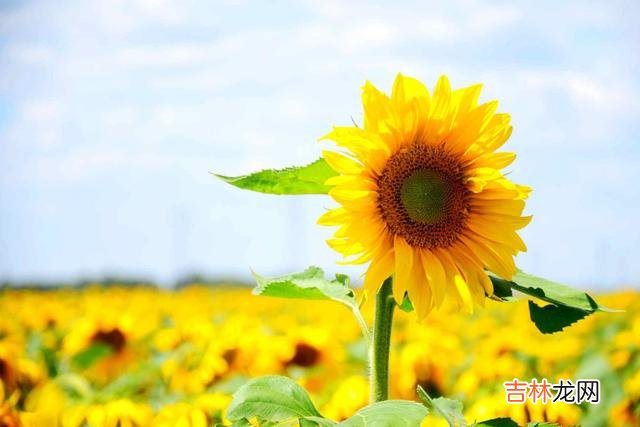 在两性相处的过程中 女人在恋爱期间，越不和男朋友谈金钱，男人越是刻意跟你划清界限