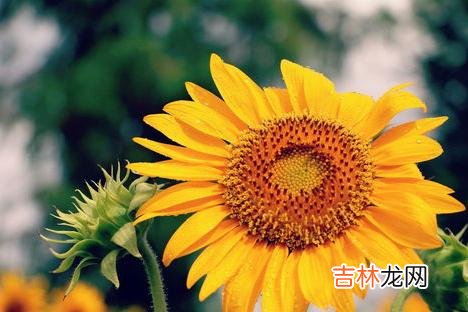 在两性相处的过程中 女人在恋爱期间，越不和男朋友谈金钱，男人越是刻意跟你划清界限