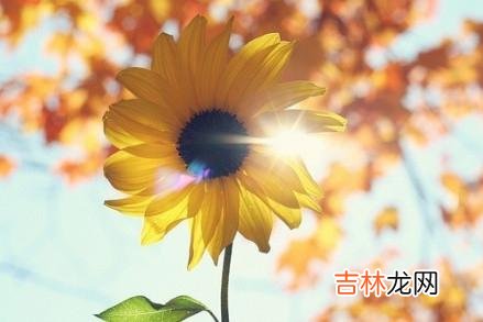 在两性相处的过程中 女人在恋爱期间，越不和男朋友谈金钱，男人越是刻意跟你划清界限