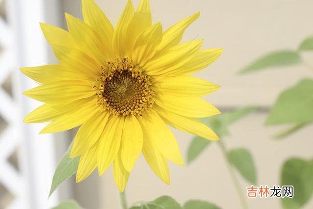 在两性相处的过程中 女人在恋爱期间，越不和男朋友谈金钱，男人越是刻意跟你划清界限