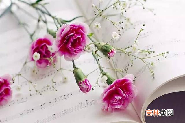 社会学家李银河在《李河说爱情》一书中写道:但凡有过爱情经历的人都会明白 女人爱你到极致的三个表现,说明她爱你入骨了,男人要好好珍惜