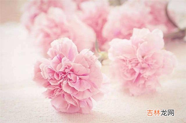 社会学家李银河在《李河说爱情》一书中写道:但凡有过爱情经历的人都会明白 女人爱你到极致的三个表现,说明她爱你入骨了,男人要好好珍惜