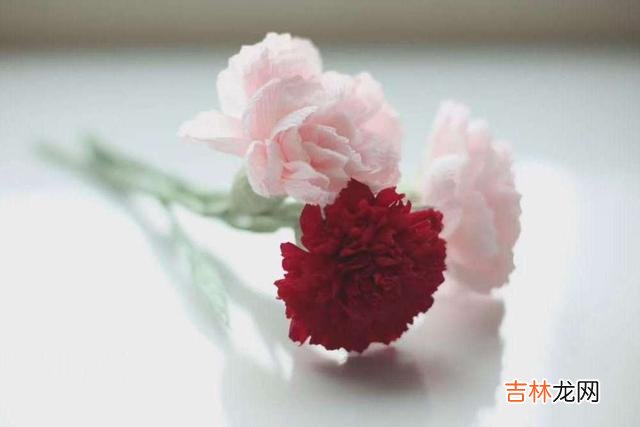 社会学家李银河在《李河说爱情》一书中写道:但凡有过爱情经历的人都会明白 女人爱你到极致的三个表现,说明她爱你入骨了,男人要好好珍惜