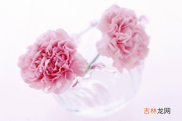 社会学家李银河在《李河说爱情》一书中写道:但凡有过爱情经历的人都会明白 女人爱你到极致的三个表现,说明她爱你入骨了,男人要好好珍惜