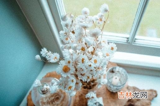 很多男人总觉得 追女人，以下两方面的需求，你满足她了，她自然会对你敞开心扉