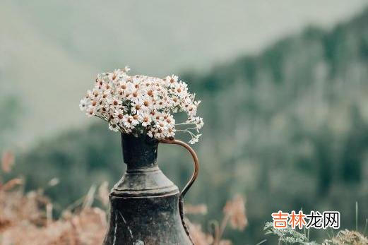 很多男人总觉得 追女人，以下两方面的需求，你满足她了，她自然会对你敞开心扉