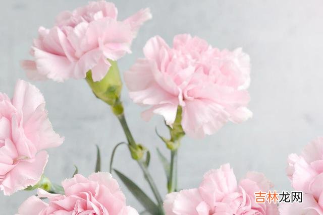 有时候 真正活得高级的女人，一生都在断舍离