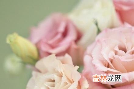 有时候 真正活得高级的女人，一生都在断舍离