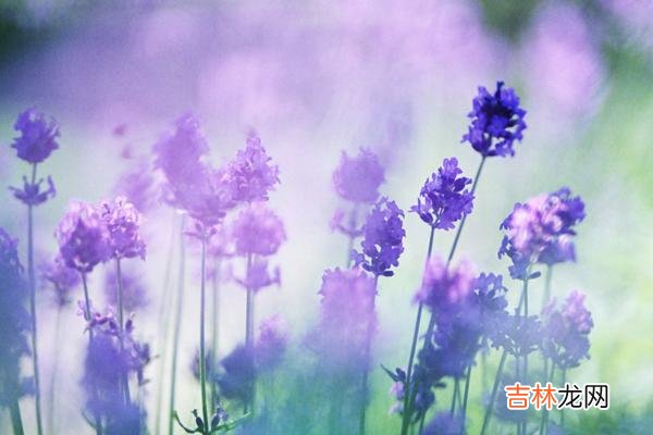 曾有心理学家提出 往后余生,跟真正值得的人交往,我们才能收获更多的温暖与幸福