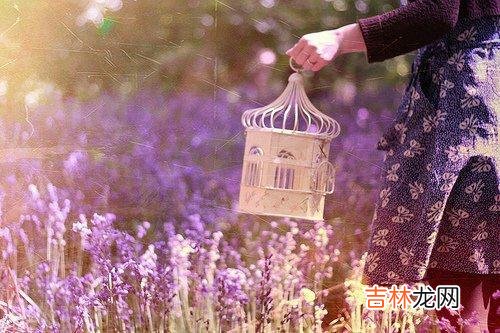 曾有心理学家提出 往后余生,跟真正值得的人交往,我们才能收获更多的温暖与幸福