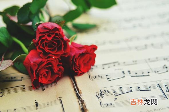 对于很多人来说 女人在微信上越界，多半说明把你当成了心上人