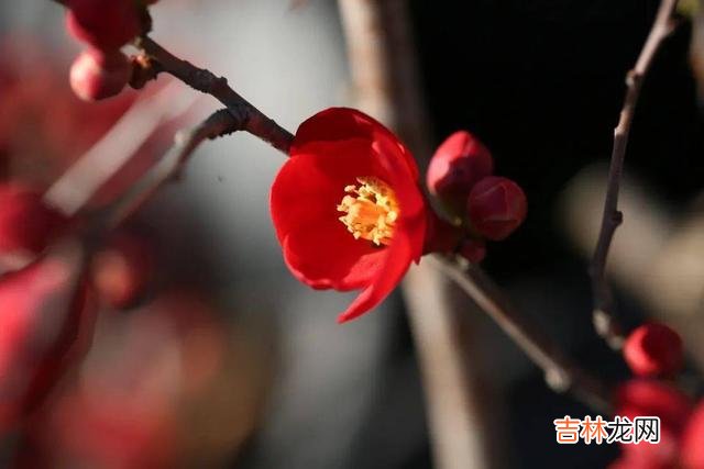 对于很多人来说 女人在微信上越界，多半说明把你当成了心上人