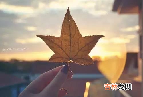 你有处理不好婆媳关系的烦恼吗？原以为结婚是两个人过幸福美满的日子 婆媳之间，在于彼此的相处，懂得把握分寸，才能赢得良好的关系