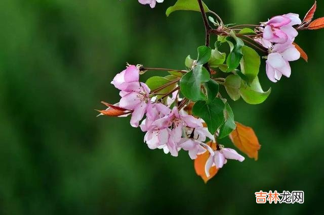 早晚有一天你会明白，与其迎合大众，不如独善其身