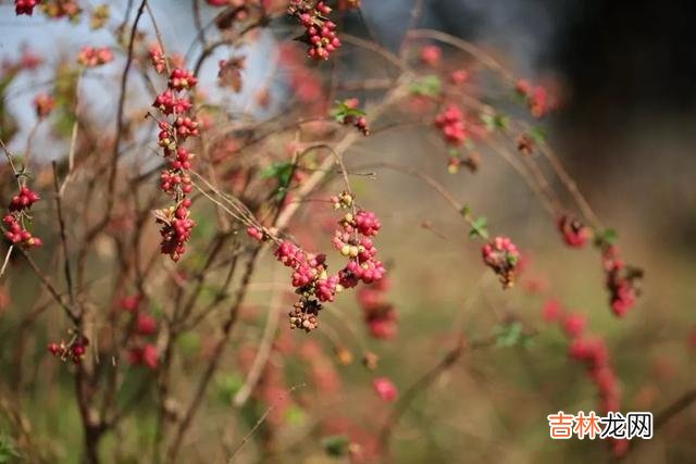 学会这三种恋爱小技巧，女人越来越喜欢你