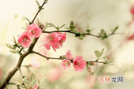 学会这三种恋爱小技巧，女人越来越喜欢你