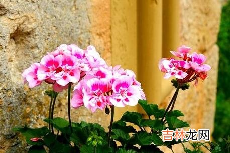 学会这三种恋爱小技巧，女人越来越喜欢你