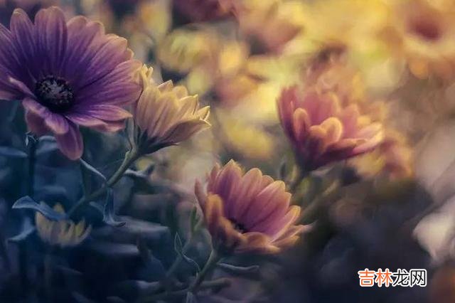 学会这三种恋爱小技巧，女人越来越喜欢你