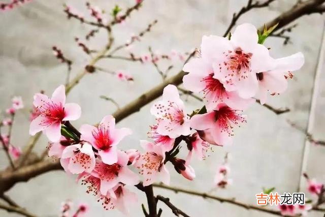 学会这三种恋爱小技巧，女人越来越喜欢你