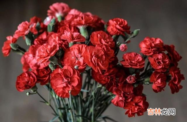 哪怕是性格再内向的女生 女同事主动约你出去，就是在暗示你该主动一点了