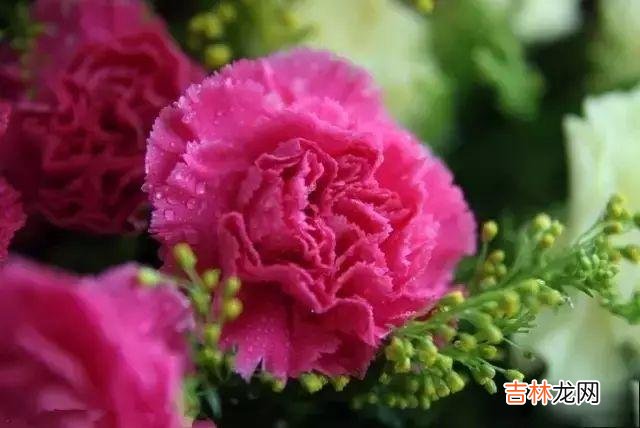 哪怕是性格再内向的女生 女同事主动约你出去，就是在暗示你该主动一点了